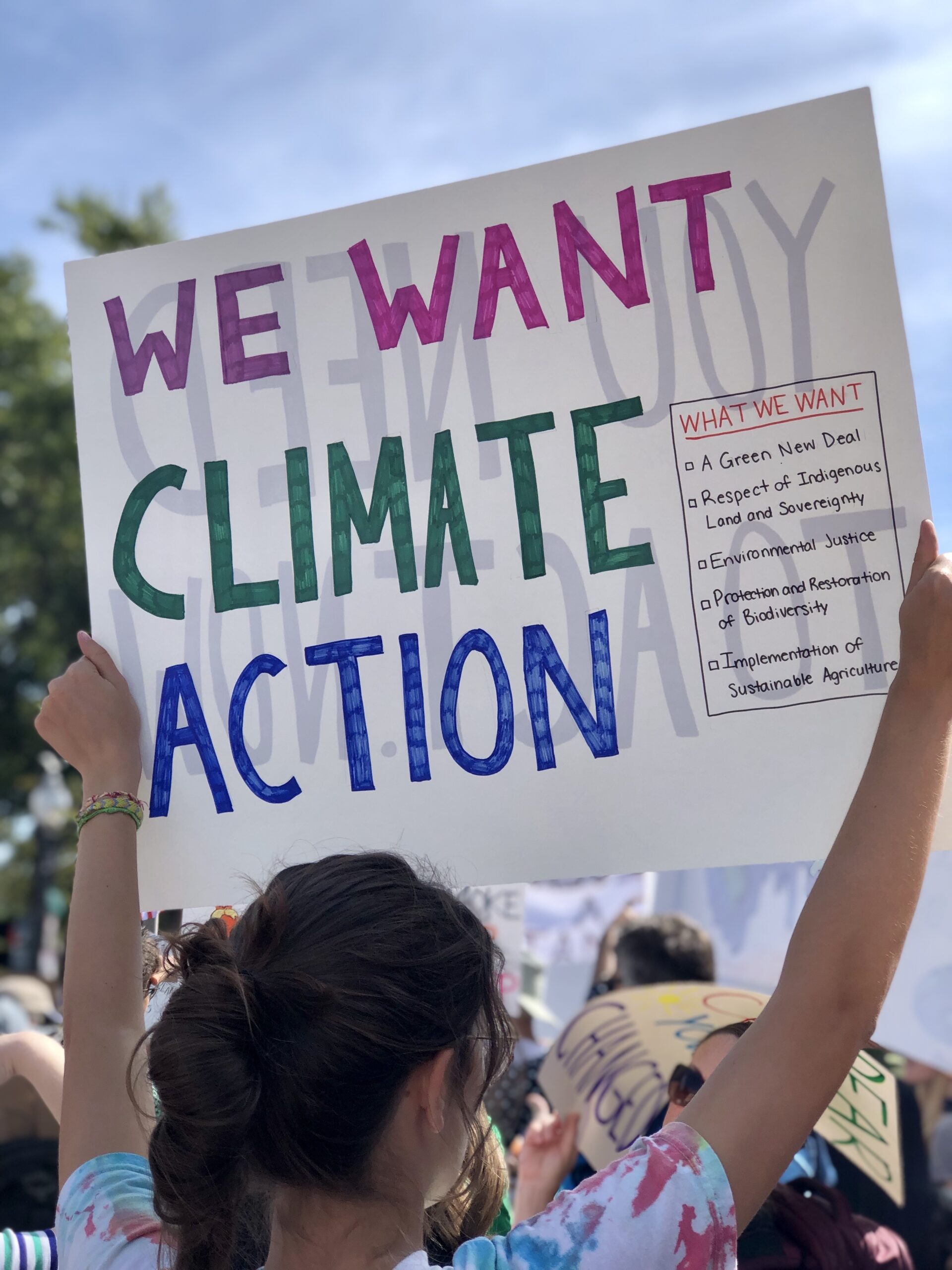 young-woman-holding-climate-change-protest-sign-2024-11-02-00-49-48-utc